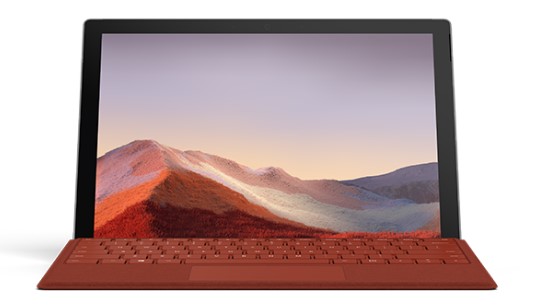 横峰清洁和维护 Surface
